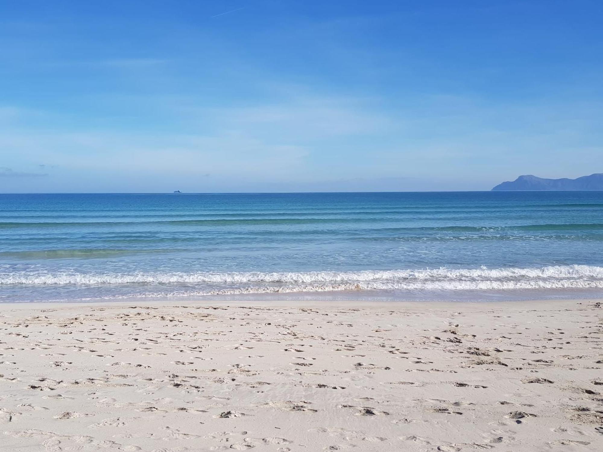 פורט ד'אלקודיה Ideal Property Mallorca - Cittadini 26 מראה חיצוני תמונה